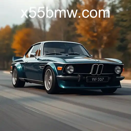 Exploring the '55bmw' Phenomenon in Gaming Community Forums